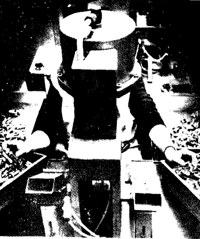 Frauen in der Geschichte VIII