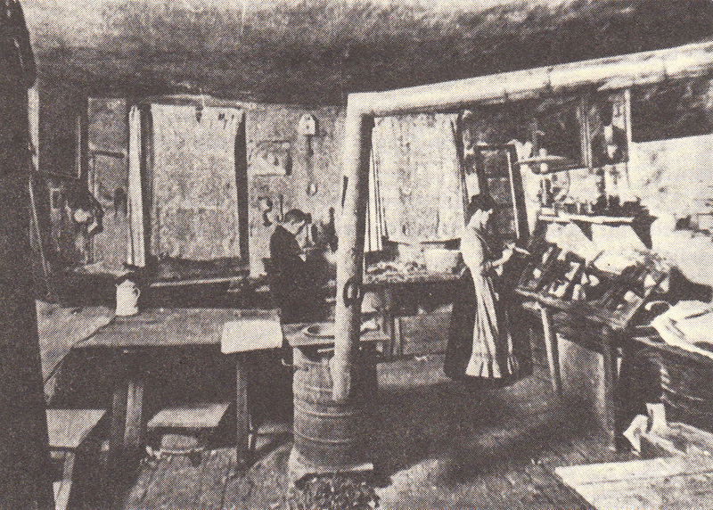 Fachdidaktische Beiträge 