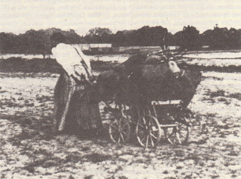 Fachdidaktische Beiträge 