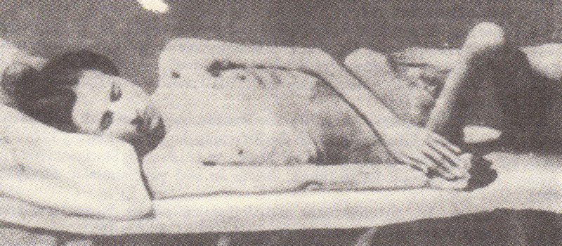 Fachdidaktische Beiträge 