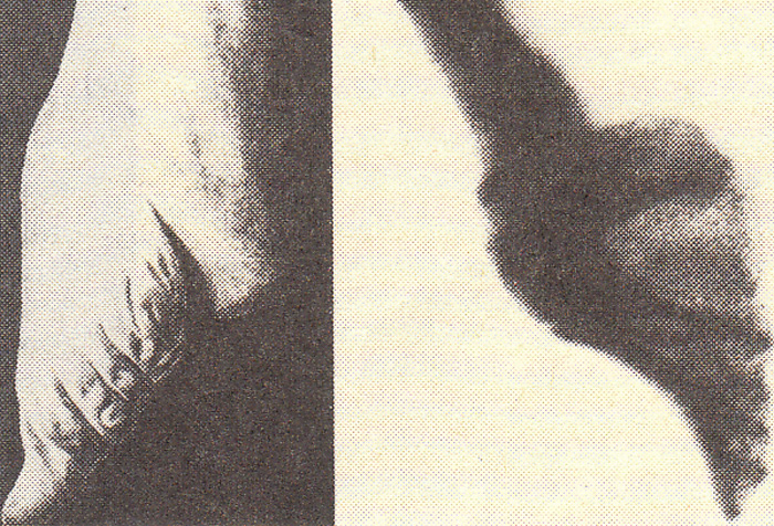 Frauen in der Geschichte 1