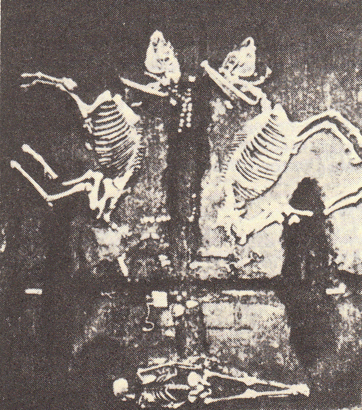 Frauen in der Geschichte 1