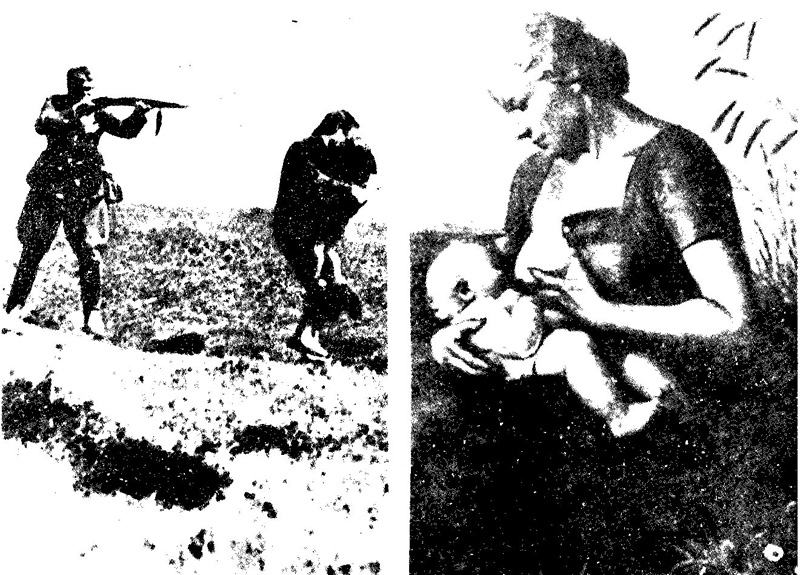 Frauen in der Geschichte VIII