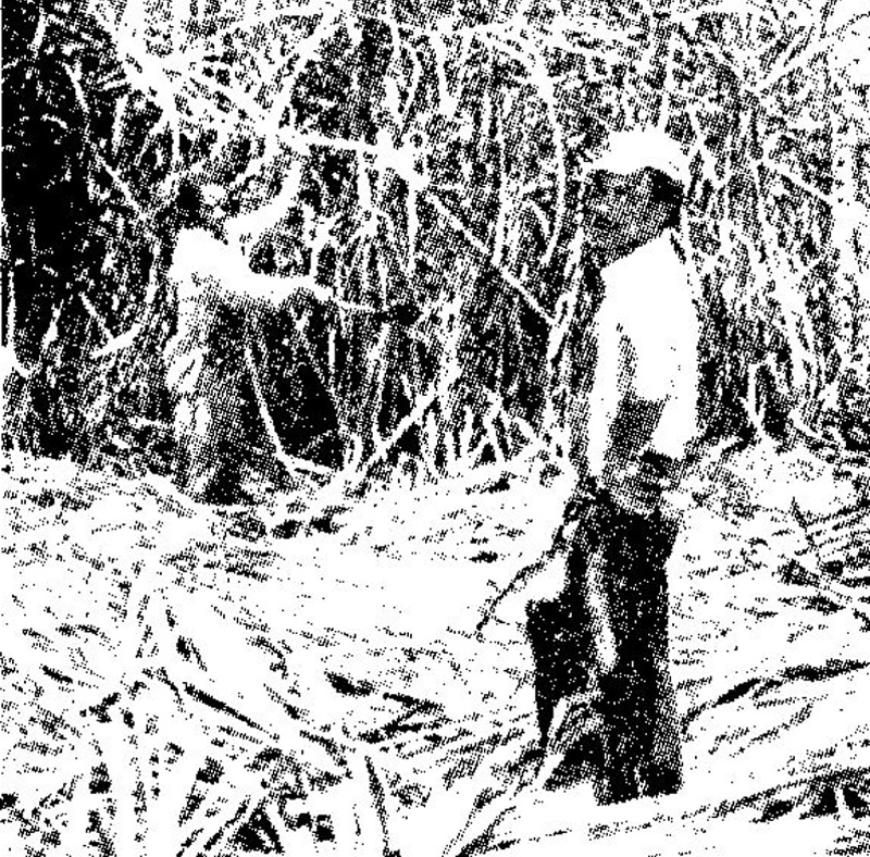 Frauen in der Geschichte VIII