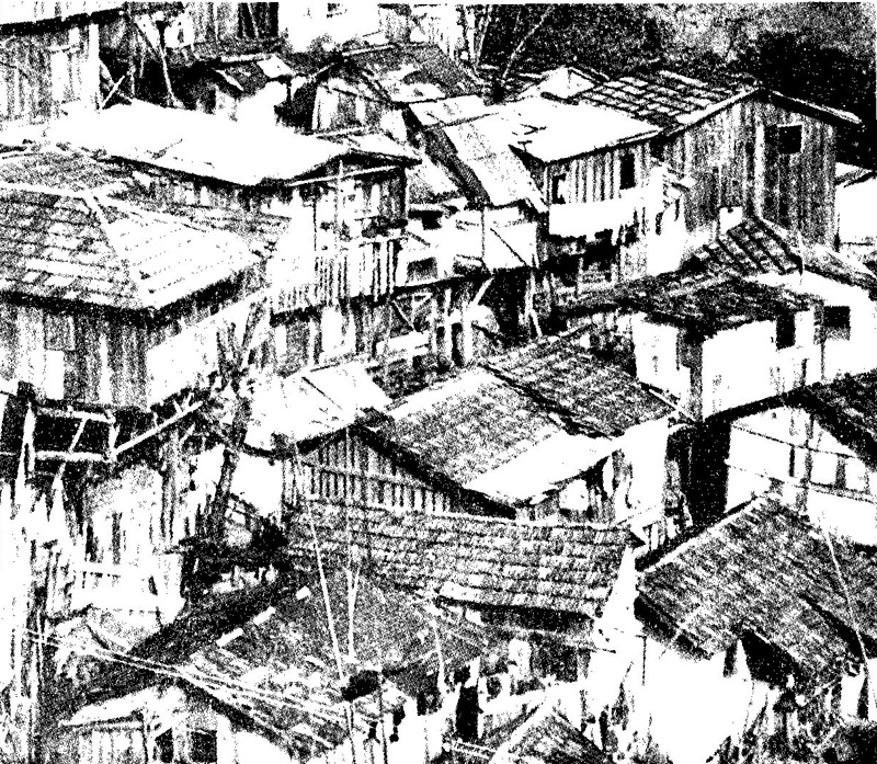 Frauen in der Geschichte VIII