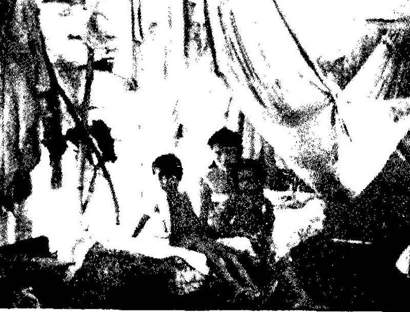 Frauen in der Geschichte VIII