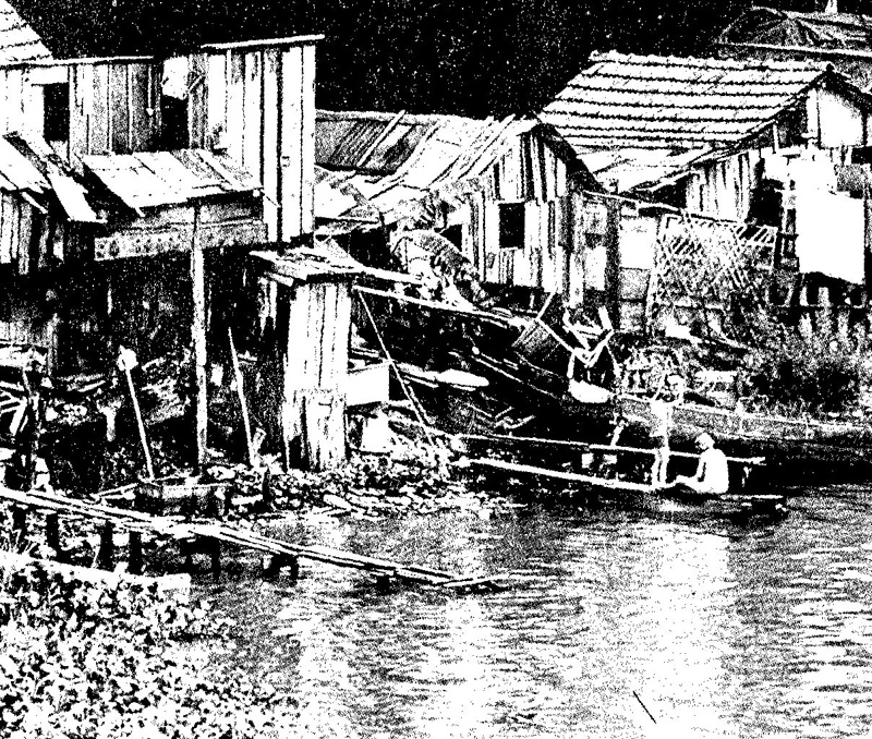 Frauen in der Geschichte VIII