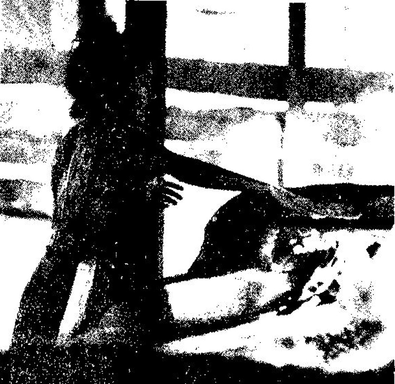 Frauen in der Geschichte VIII