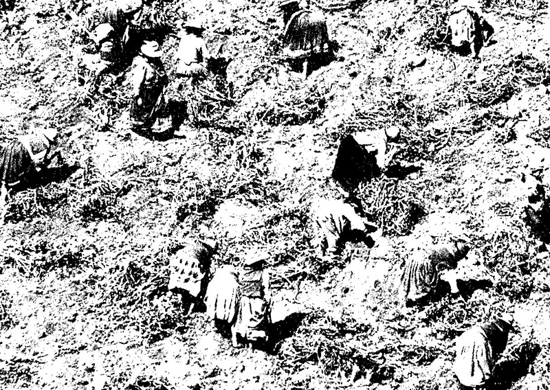 Frauen in der Geschichte VIII