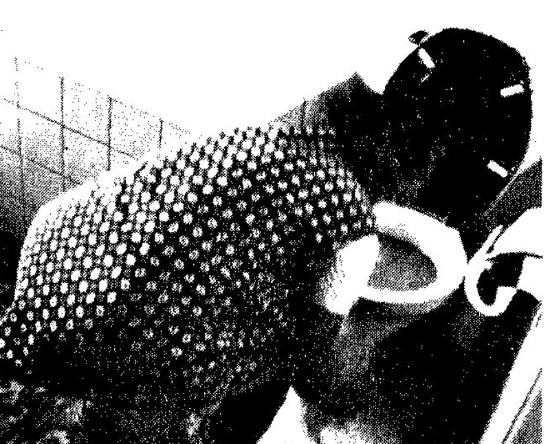 Frauen in der Geschichte VIII