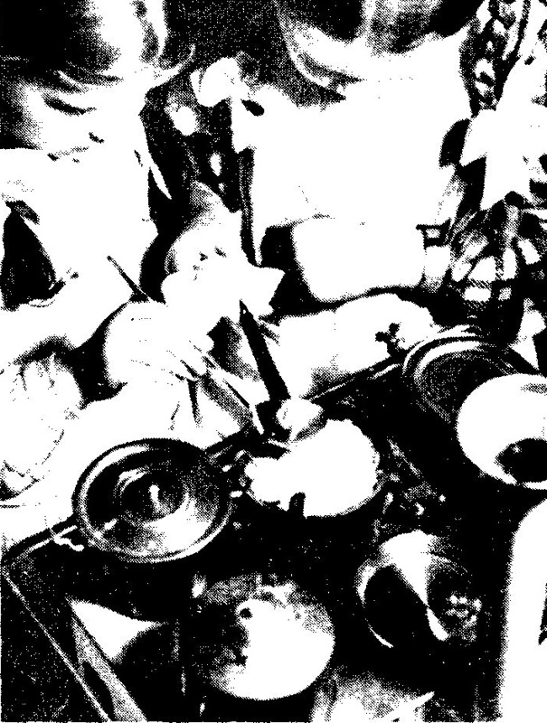 Frauen in der Geschichte VIII