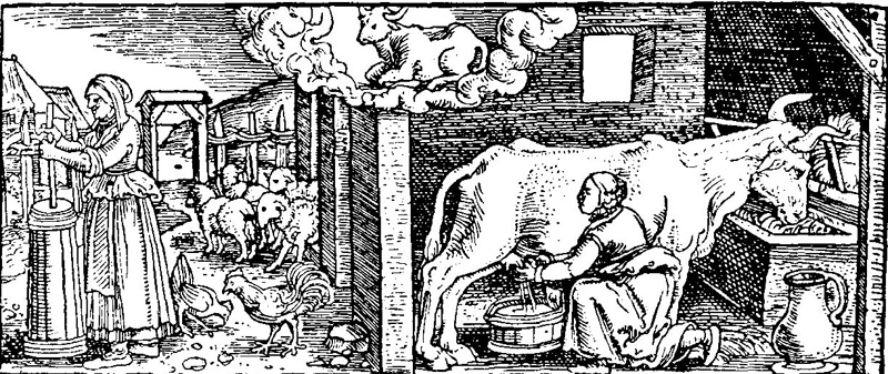 Frauen in der Geschichte VIII