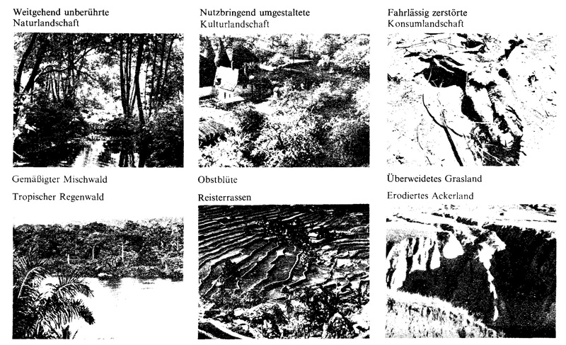 Frauen in der Geschichte VIII