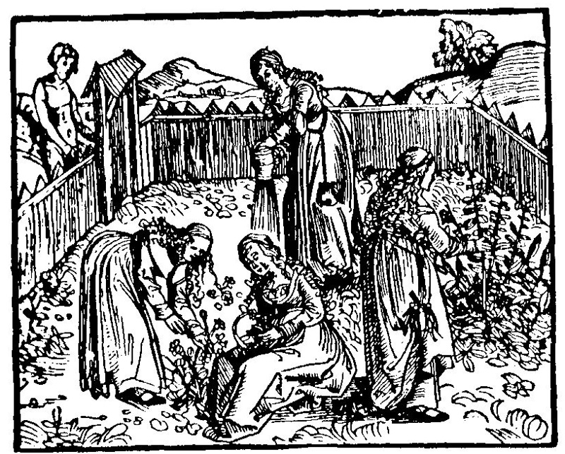 Frauen in der Geschichte VIII