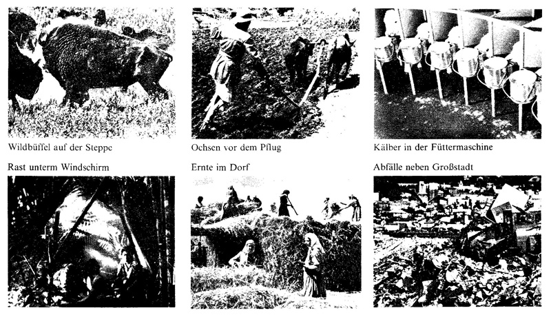 Frauen in der Geschichte VIII