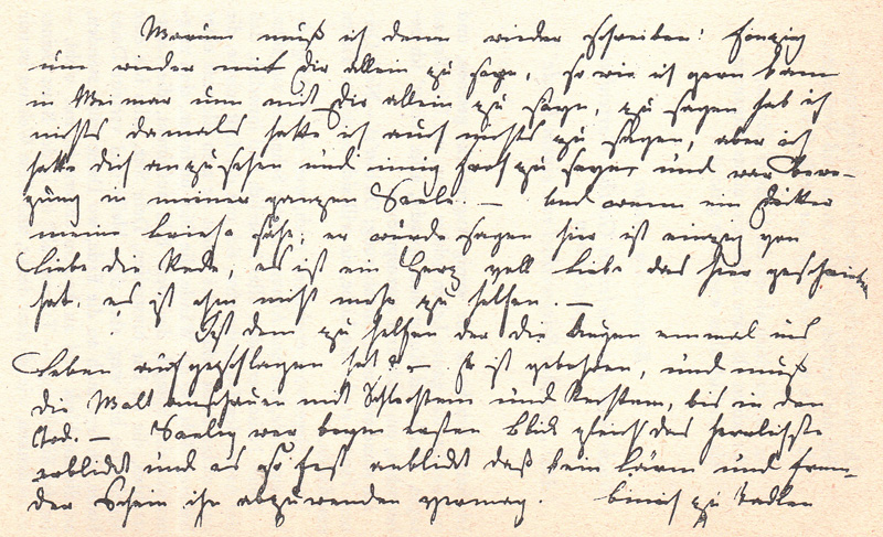 Frauen der Goethezeit 