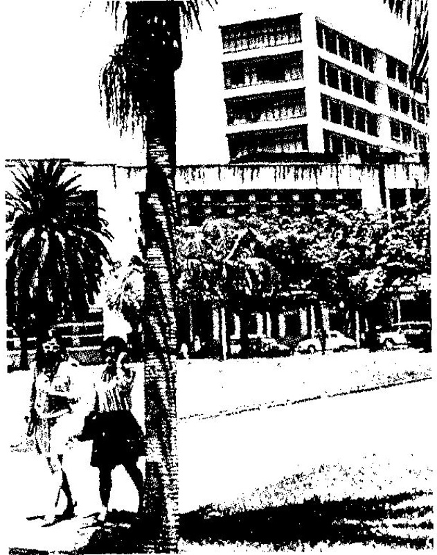 Frauen in der Geschichte VIII