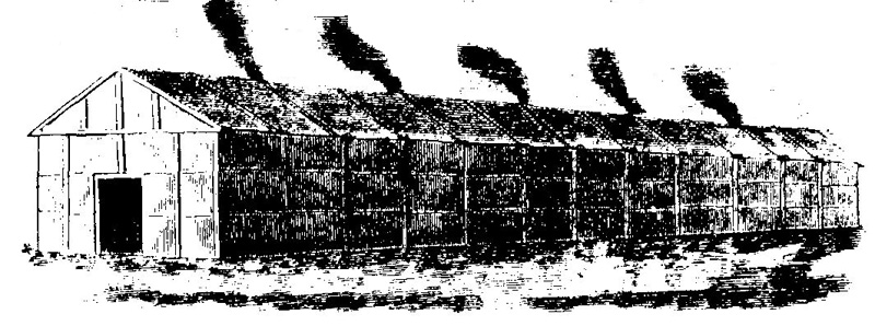 Frauen in der Geschichte VIII