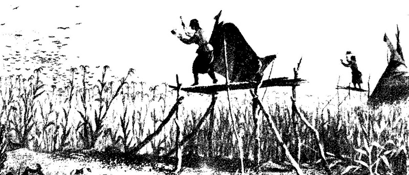 Frauen in der Geschichte VIII