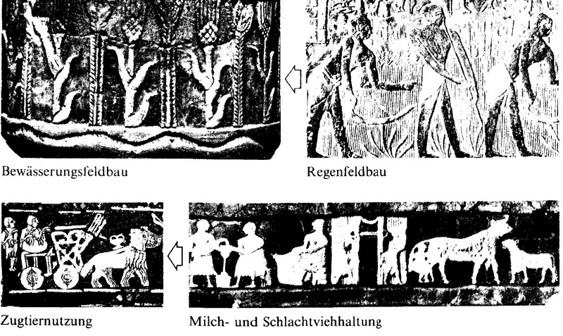 Frauen in der Geschichte VIII