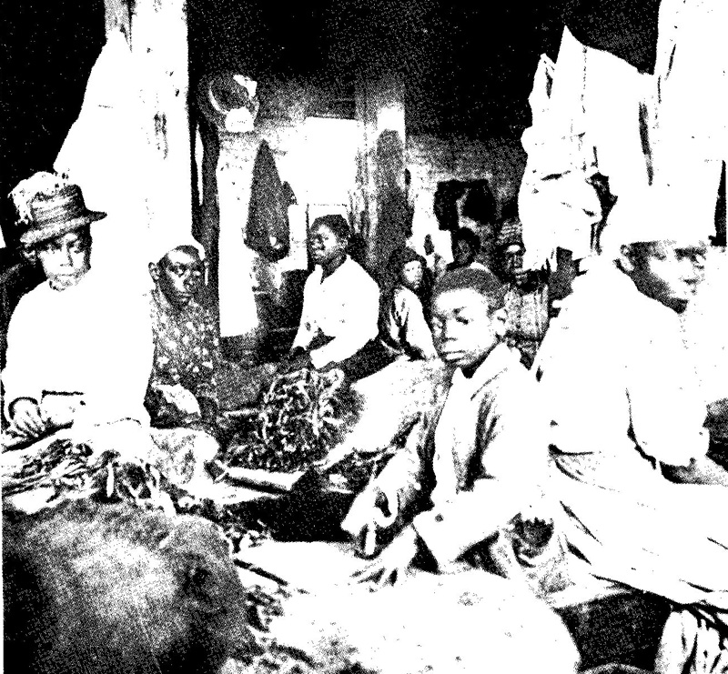 Rassismus und Sexismus 