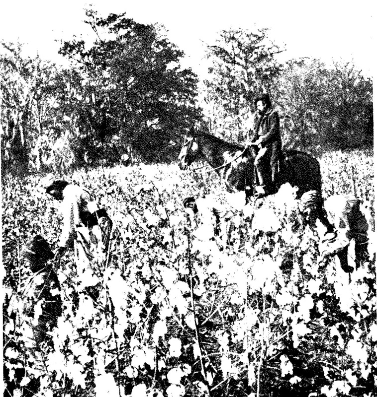 Rassismus und Sexismus 