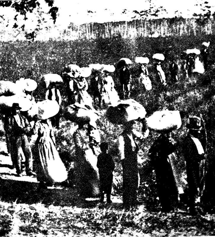 Rassismus und Sexismus 