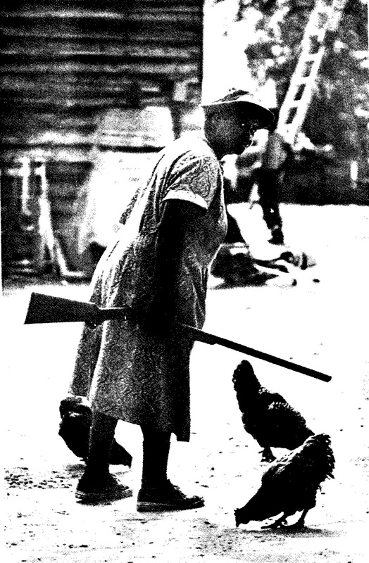 Rassismus und Sexismus 